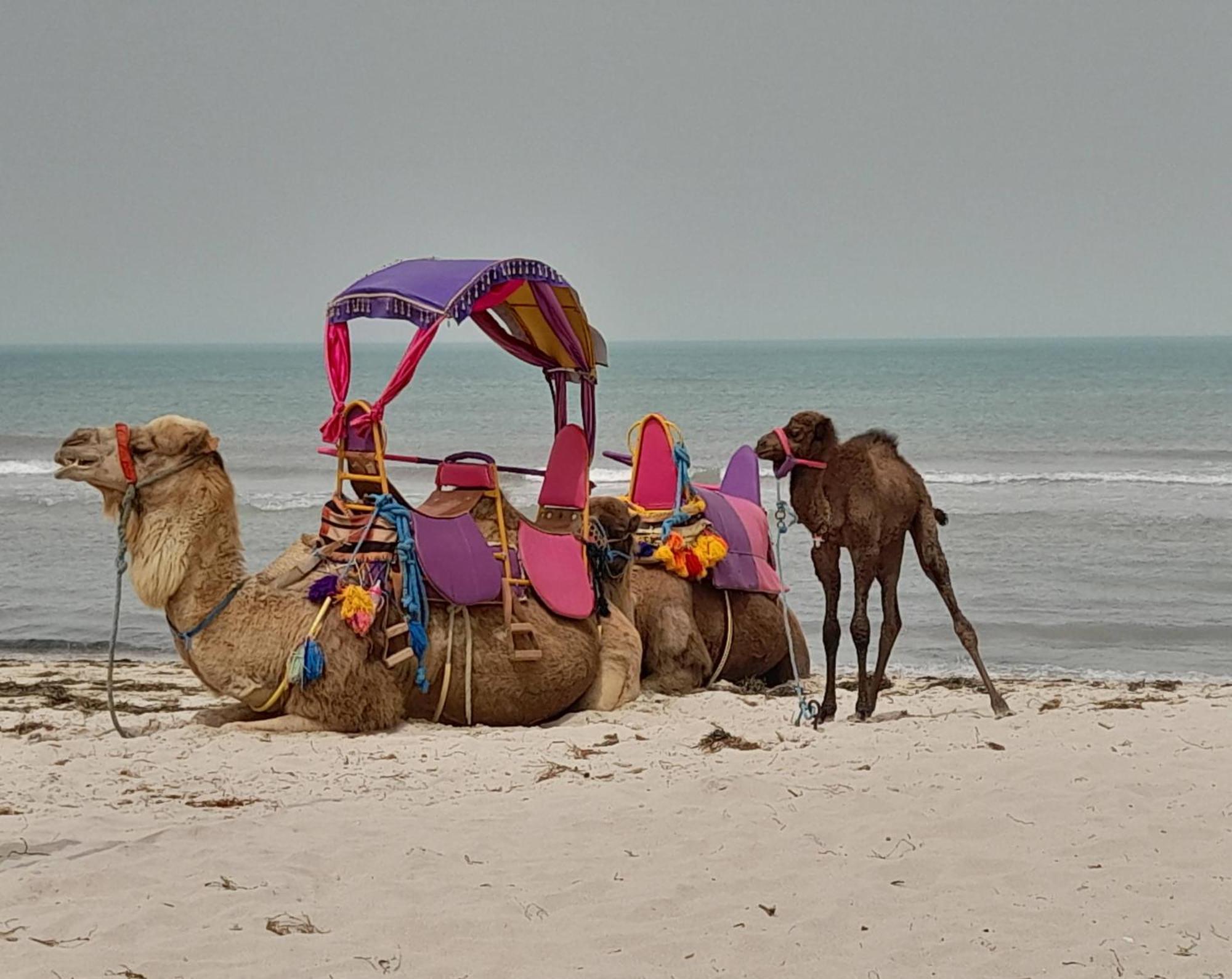 Dar El Kahina Djerba Hotel Mezraia Kültér fotó